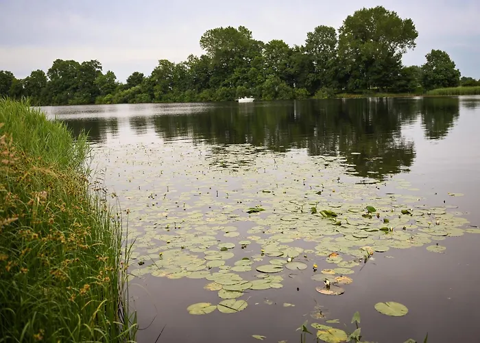 - Eidernest 1 Vakantiehuis